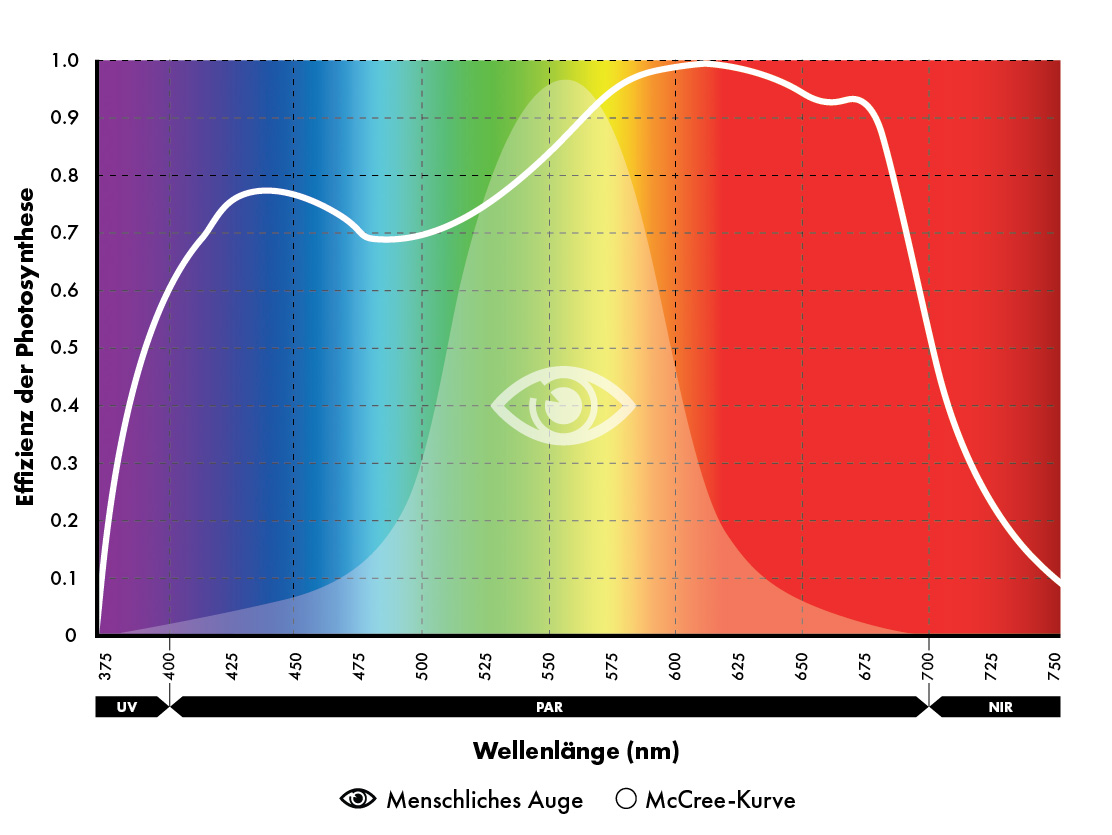 Farbe des Lichts von Bedeutung ReduSystems